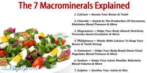 The 7 Macrominerals Explained - Free Fitness Tips