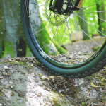 What Type Of Bike Should I Get?