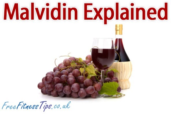 Malvidin Explained