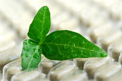 A green leaf on top of a packet of herbal supplements.