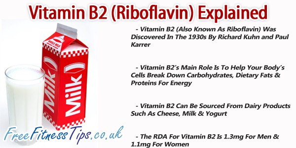 Vitamin B2 (Riboflavin) Explained