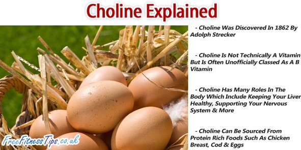 Choline Explained
