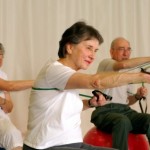 A group of elderly people in an exercise class.