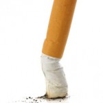 A squashed cigarette on a white background.
