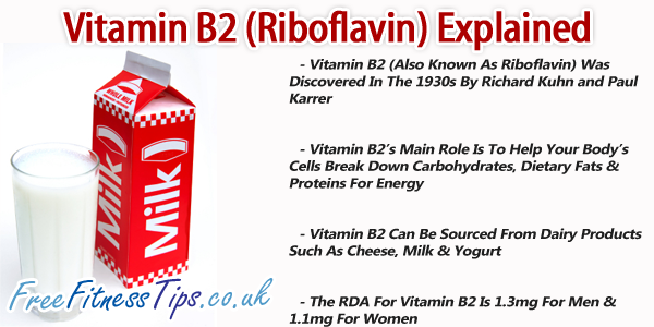 Vitamin B2 (Riboflavin) Explained - Free Fitness Tips