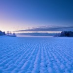 A dim snowy field at Christmas time.