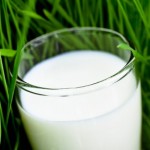 A glass of milk on a grassy field.