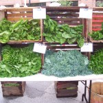 A selection of natural foods.