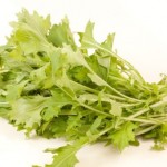 A selection of turnip greens on a white background.