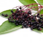 A collection of elderberries resting on a green leaf.