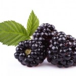 3 blackberries on a white background.