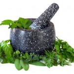 A selection of herbs besides a granite mortar and pestle.