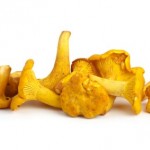 A pile of chanterelle mushrooms on a white background.