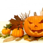 Studio shot of Halloween pumpkins and autumn leaves arranged on white background.