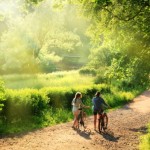 A couple cycling in the park during summer.